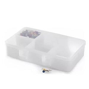 CAJA ORGANIZADORA 5 DIV.BISAG.